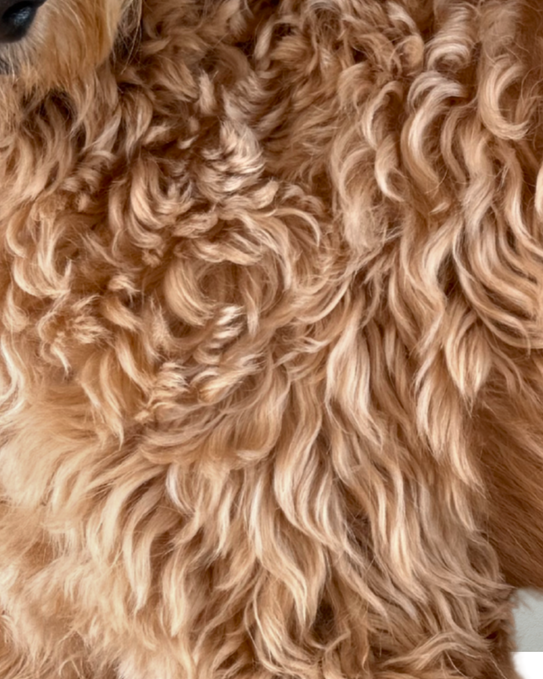 Wavy coat