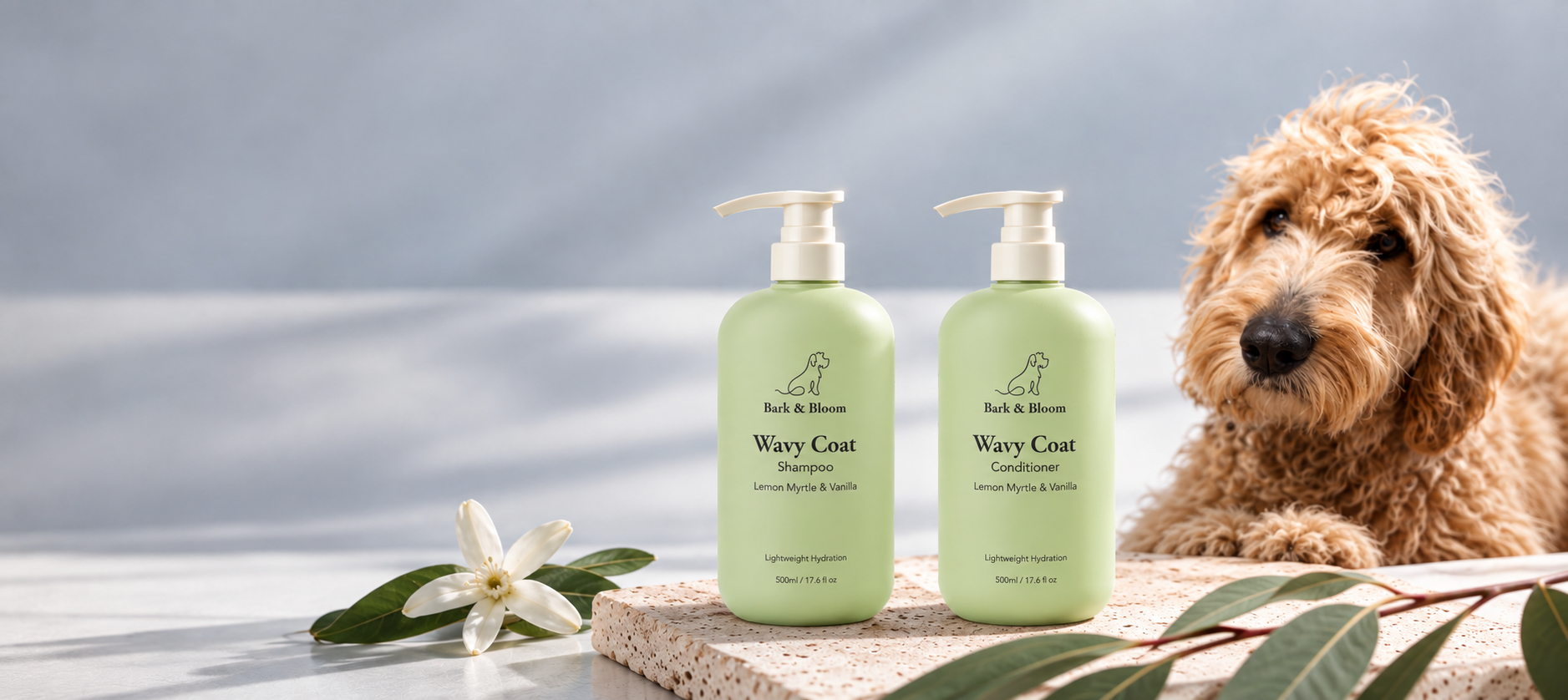 Bark & Bloom Wavy Coat Shampoo and Conditioner with a goldendoodle