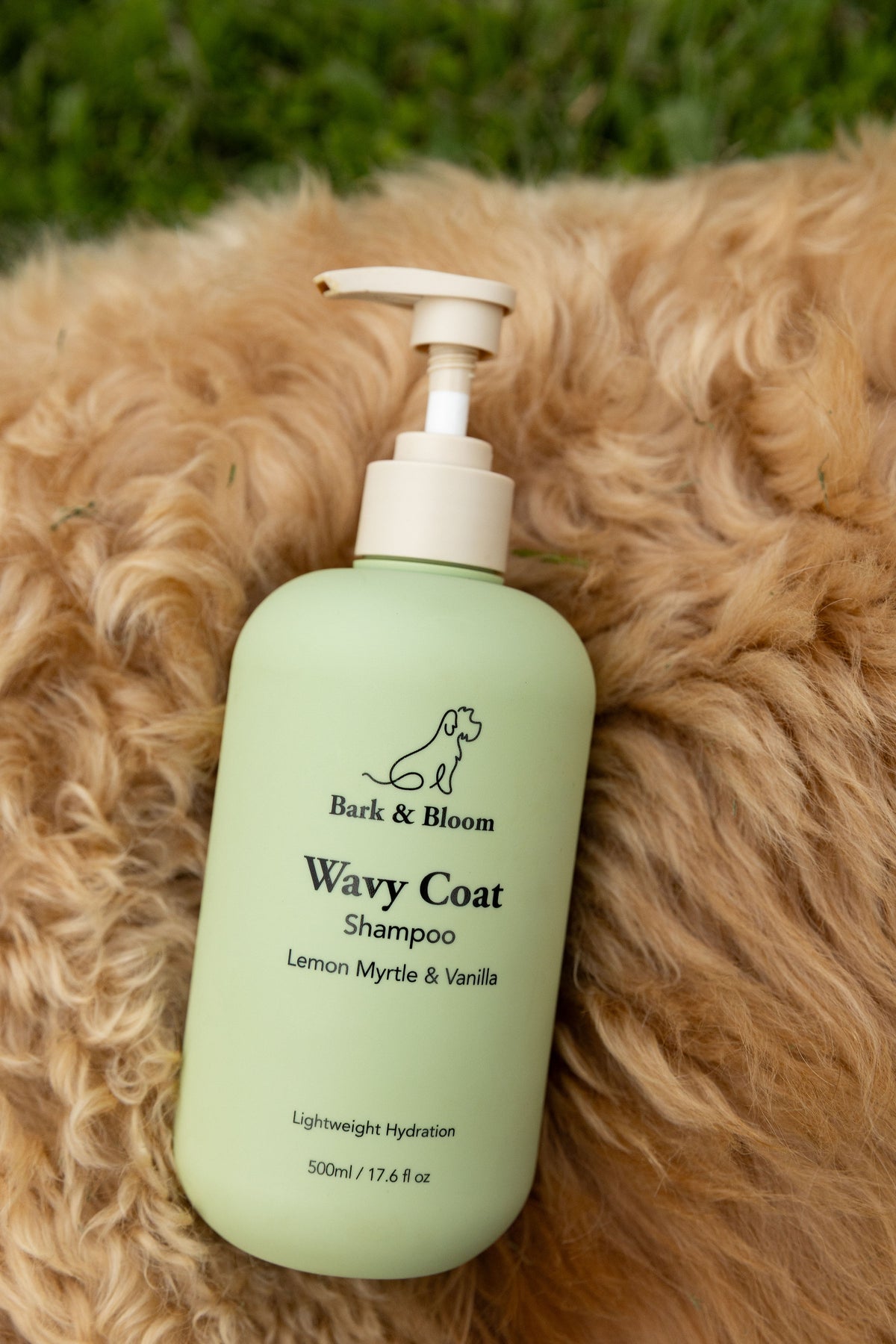 Wavy Coat Shampoo