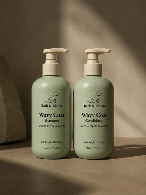 The Wavy Coat Duo
