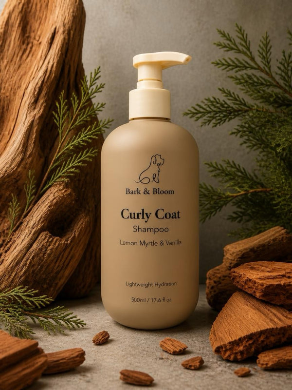 Curly Coat Shampoo