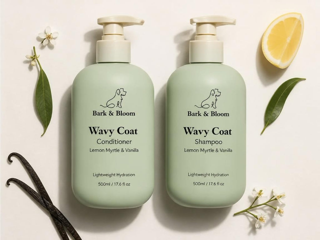 The Wavy Coat Duo