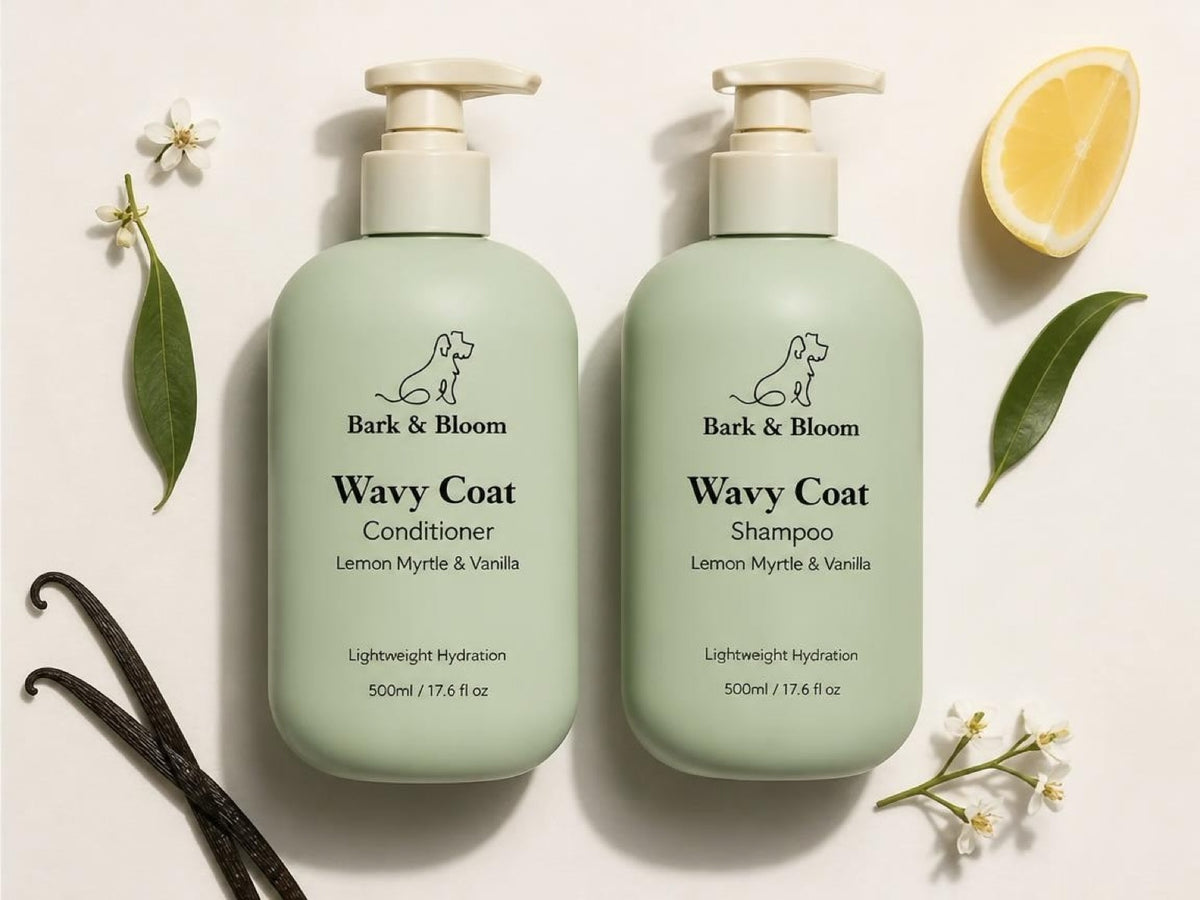 The Wavy Coat Duo