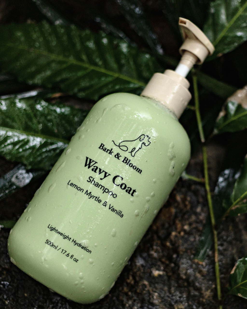 Wavy Coat Shampoo