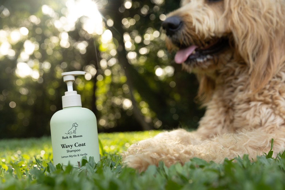 Wavy Coat Shampoo
