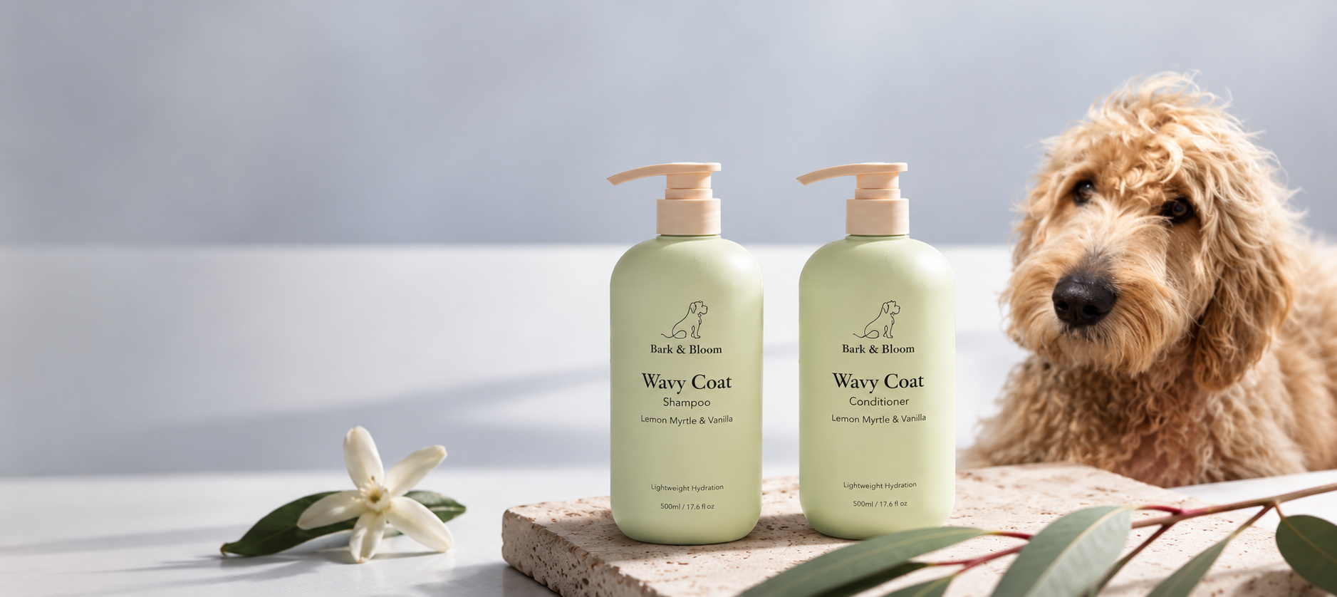 Bark & Bloom Wavy Coat Shampoo and Conditioner with a goldendoodle