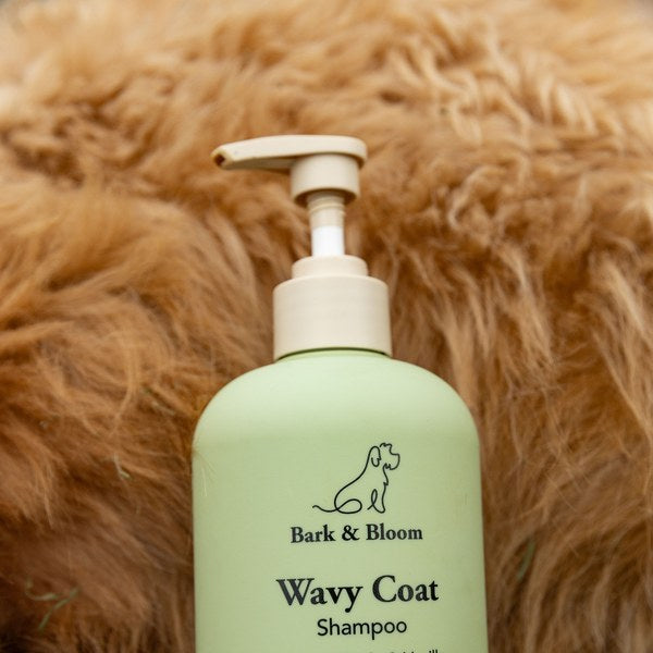 Wavy Coat Shampoo