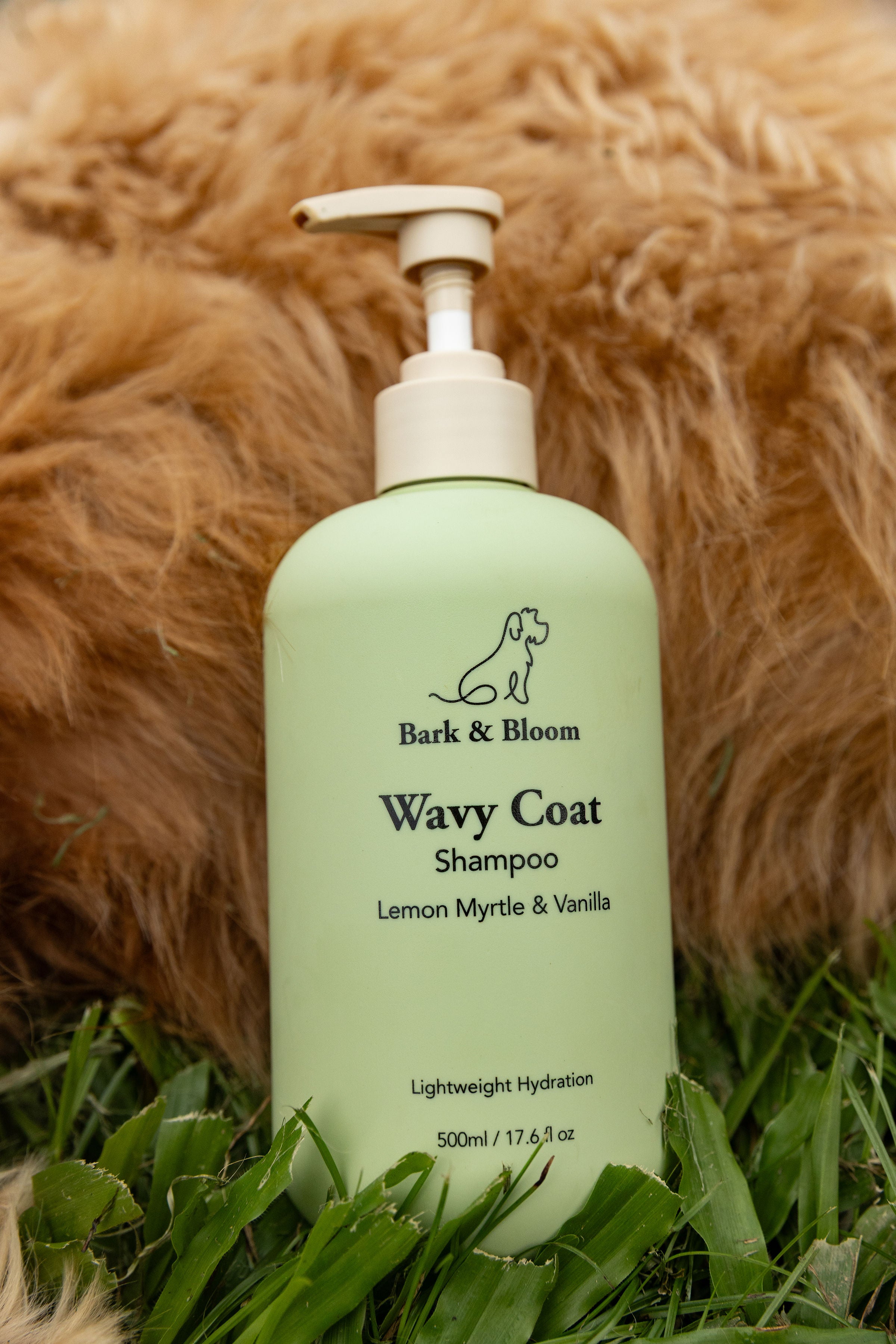 Bark & Bloom Wavy Coat Shampoo resting on Monty's fur